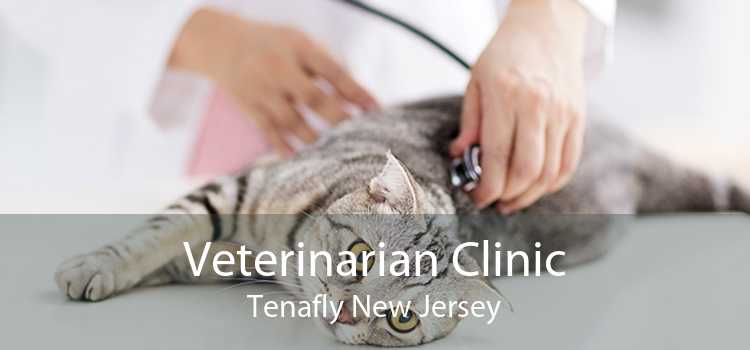 Veterinarian Clinic Tenafly New Jersey