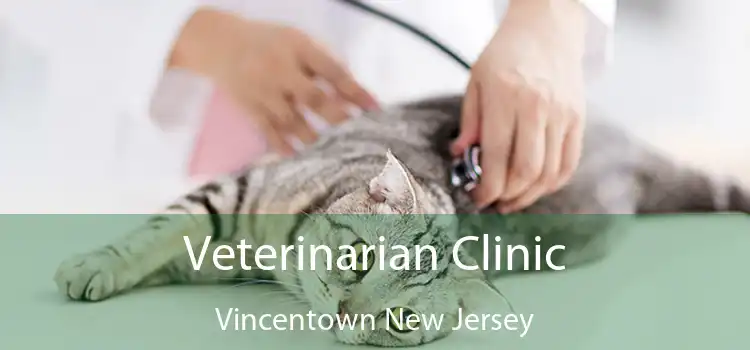 Veterinarian Clinic Vincentown New Jersey