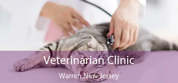 Veterinarian Clinic Warren New Jersey