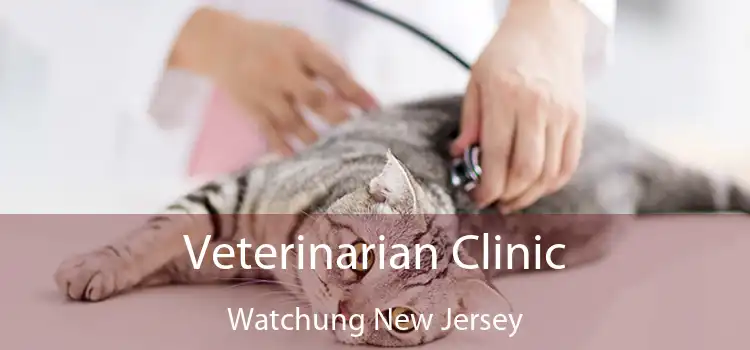 Veterinarian Clinic Watchung New Jersey