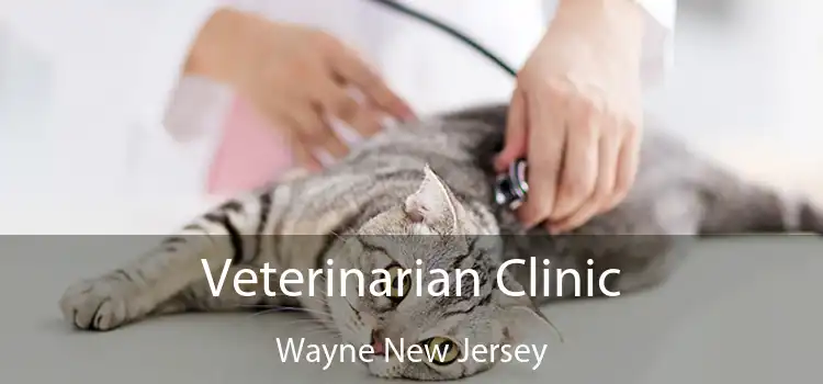 Veterinarian Clinic Wayne New Jersey