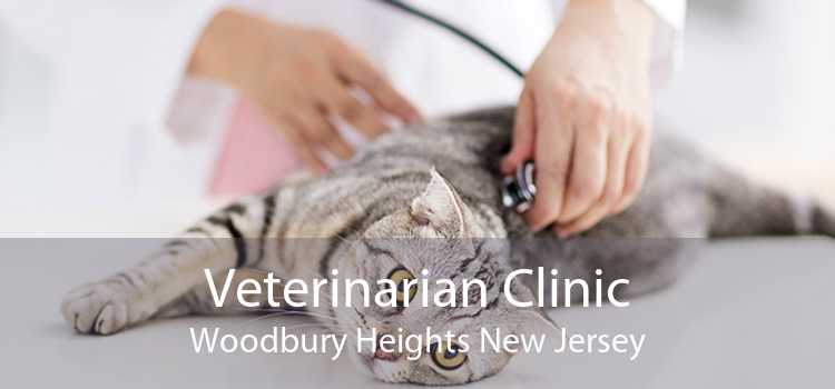 Veterinarian Clinic Woodbury Heights New Jersey