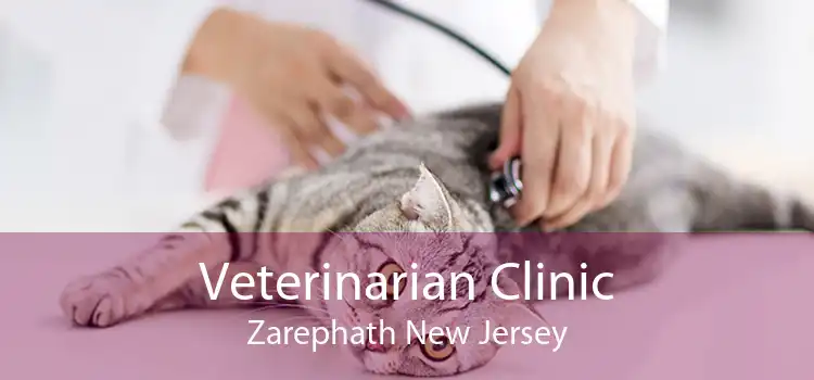 Veterinarian Clinic Zarephath New Jersey