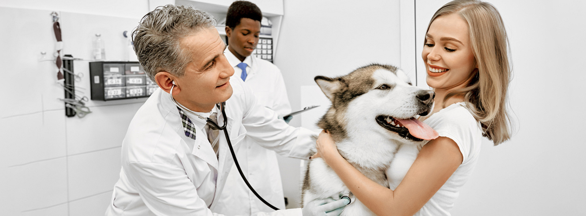 Veterinarian Clinic Fairview - Emergency Vet And Pet Clinic Near Me