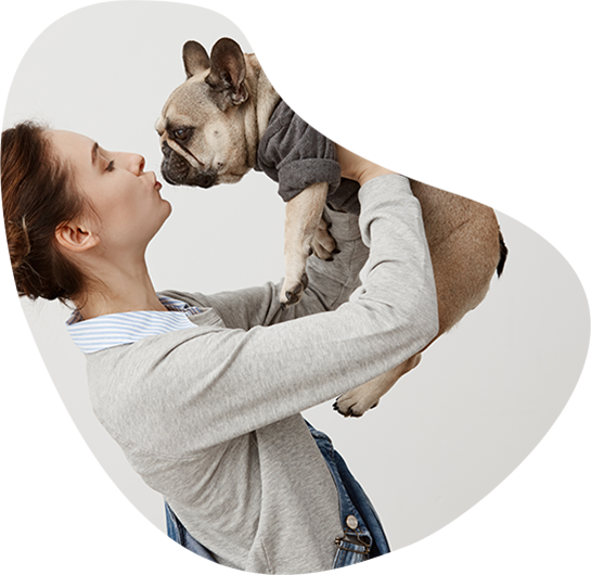 best Bristol veterinarian clinic